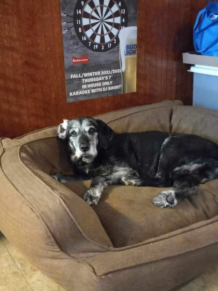 GFB Scottish Pub pool hall exterior/interior